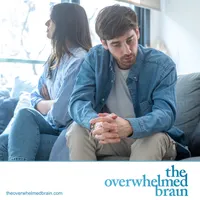 The Overwhelmed Brain artwork