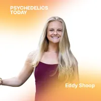 Psychedelics Today artwork