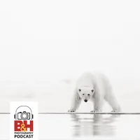 B&H Photography Podcast artwork