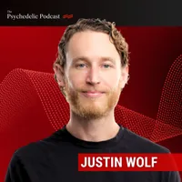 The Psychedelic Podcast artwork
