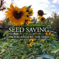 Propaganda By The Seed artwork