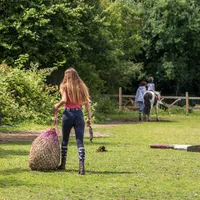 Stall and Stable: Ideas for Happy Horsekeeping artwork