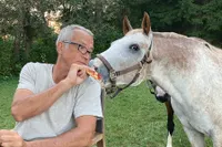 Stall and Stable: Ideas for Happy Horsekeeping artwork