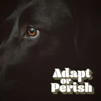 Adapt or Perish artwork