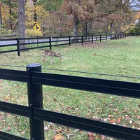 Stall and Stable: Ideas for Happy Horsekeeping artwork
