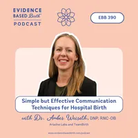Evidence Based Birth® artwork