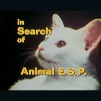 In Research Of artwork
