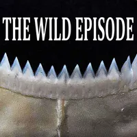 The Wild Episode artwork