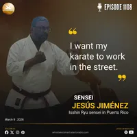 whistlekick Martial Arts Radio artwork