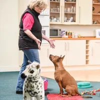 Animal Training Academy artwork