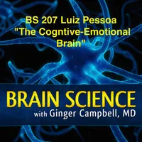 Brain Science with Ginger Campbell, MD: Neuroscience for Everyone artwork