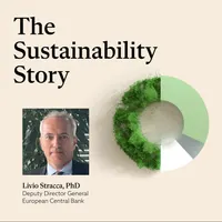The Sustainability Story artwork