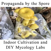 Propaganda By The Seed artwork