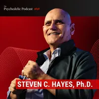 The Psychedelic Podcast artwork
