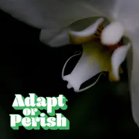 Adapt or Perish artwork