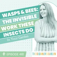 The Beginner's Garden with Jill McSheehy artwork