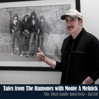 The Vinyl Guide - Artist Interviews for Record Collectors and Music Nerds artwork