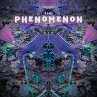 The Phenomenon artwork