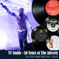 The Vinyl Guide - Artist Interviews for Record Collectors and Music Nerds artwork