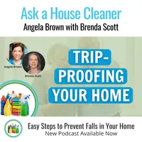 Ask a House Cleaner artwork