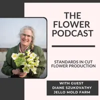 The Flower Podcast artwork