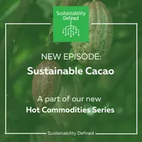 Sustainability Defined artwork