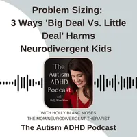 THE AUTISM ADHD PODCAST artwork