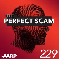 The Perfect Scam artwork