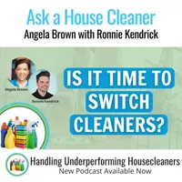 Ask a House Cleaner artwork
