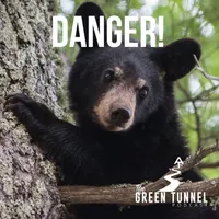 The Green Tunnel artwork