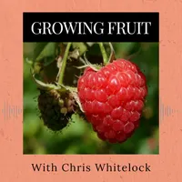 Roots and All - Gardening Podcast artwork
