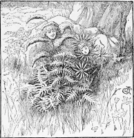 The Folktale Project artwork