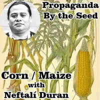 Propaganda By The Seed artwork