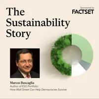 The Sustainability Story artwork