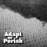 Adapt or Perish artwork