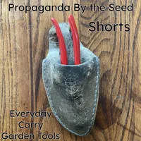 Propaganda By The Seed artwork