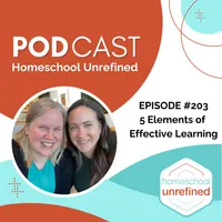 Homeschool Unrefined artwork