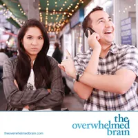 The Overwhelmed Brain artwork
