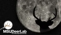 Deer University artwork