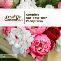 Down The Garden Path Podcast artwork