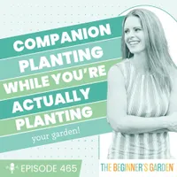 The Beginner's Garden with Jill McSheehy artwork