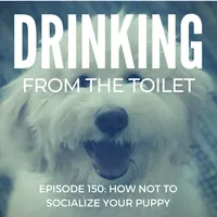 Drinking From the Toilet: Real dogs, Real training artwork