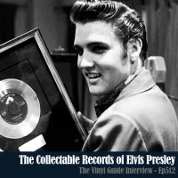 The Vinyl Guide - Artist Interviews for Record Collectors and Music Nerds artwork
