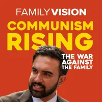 Family Vision: Christian Parenting, Marriage & Family Advice artwork