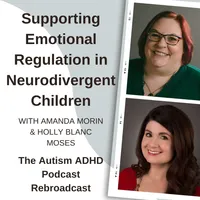 THE AUTISM ADHD PODCAST artwork