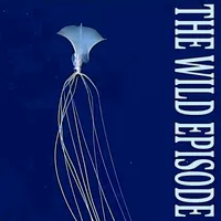 The Wild Episode artwork