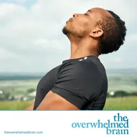 The Overwhelmed Brain artwork