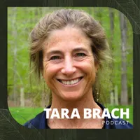 Tara Brach artwork