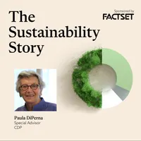 The Sustainability Story artwork