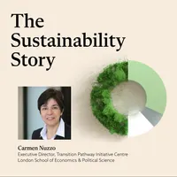 The Sustainability Story artwork